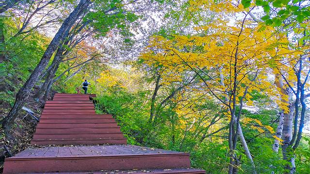 涞水野三坡旅游攻略,涞水白草畔自然风景区野三坡