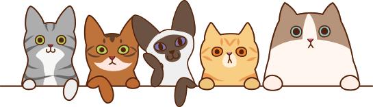 不办狗证也要被行政处罚吗,象山没有狗证归哪个部门处罚