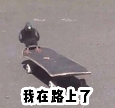 2小时高铁+1小时地铁，就为了去成都逛超市？