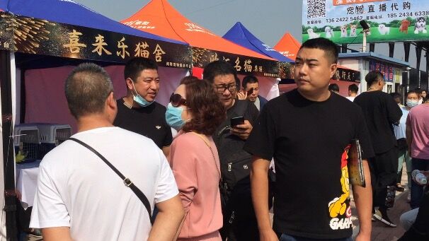 宠物交易应不应该被禁止,宠物交易受法律保护吗