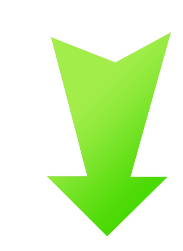 四会比武,四会比武竞赛