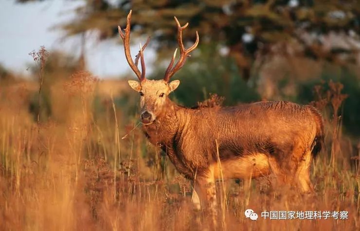 中国少年营新疆站报名,中国少年营报名