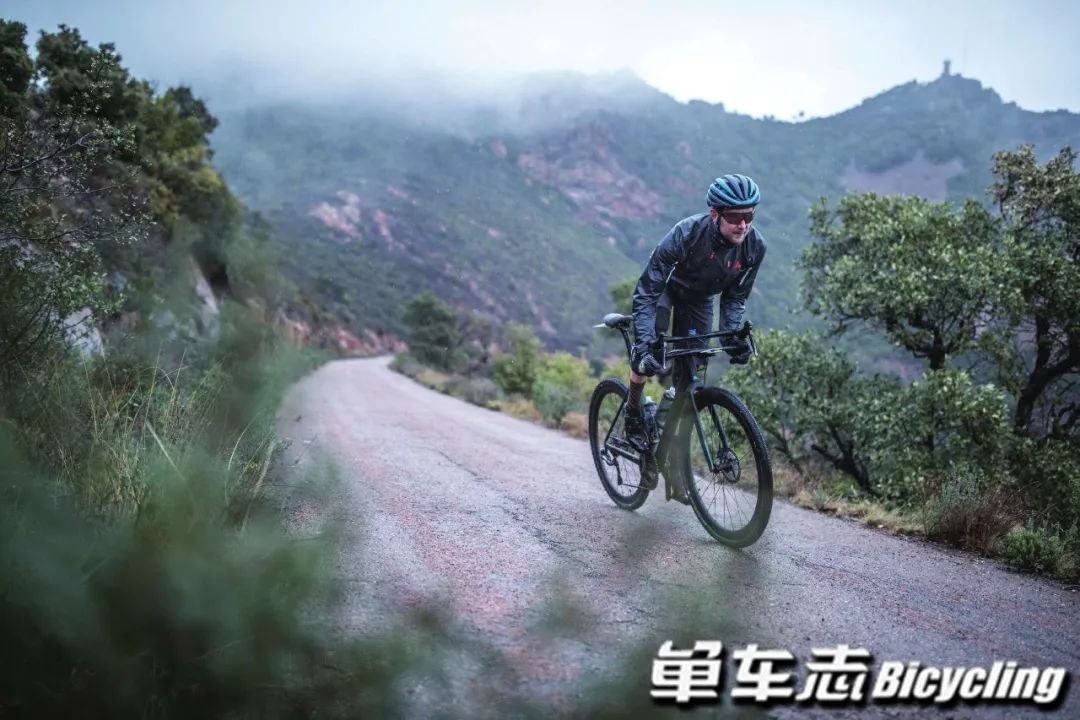 一起来看看2010-2020年自行车车款有哪些升级与进化?