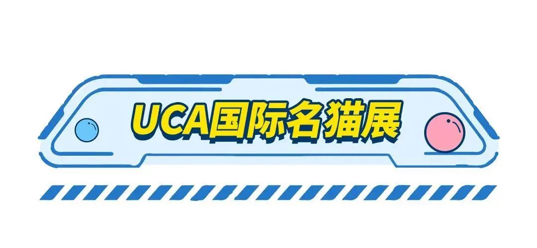 十一去哪儿玩亲子游成都,十一去长沙旅游攻略