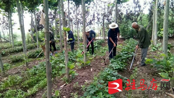 两个书记合起来是什么电视剧,两个书记电视剧叫什么