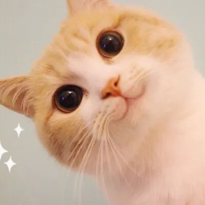 厦门旅游吃住行详细实用攻略景区,厦门出行游玩攻略最新