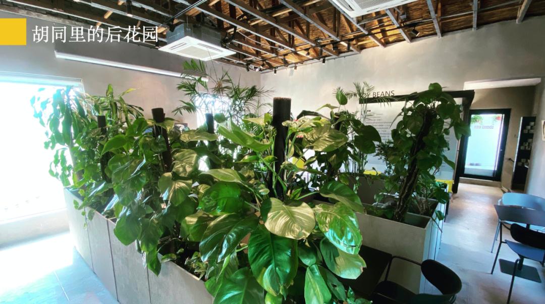 北京帝都咖啡馆,帝都网红咖啡馆