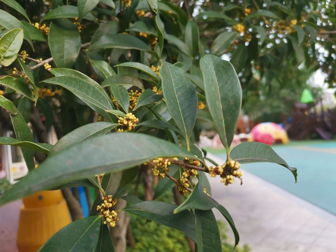 滨江多思创新学校,滨江学校全部排名