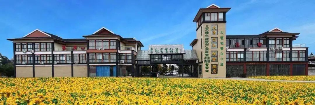 青白江足球场推荐,青白江特色风景