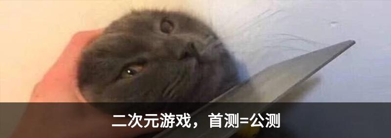 ios版本网吧模拟器,ios网吧模拟器