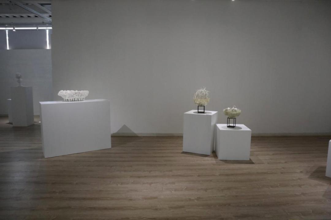 在成都发现一家宝藏酒店,成都市区宝藏酒店