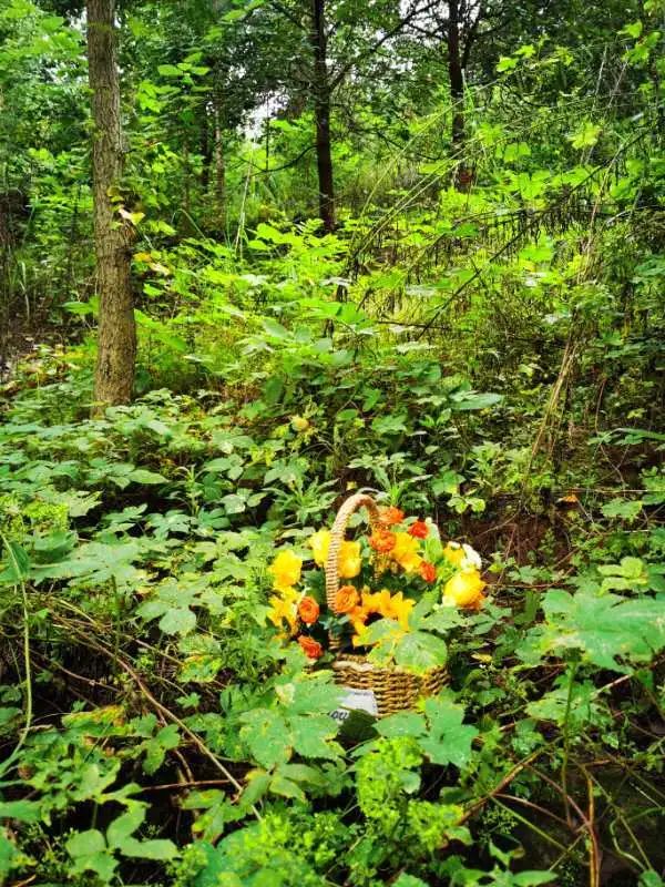 “似乎它从来都没有真正离开过”：和宠物告别的25个时刻