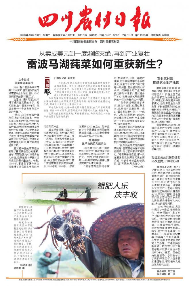 雷波马湖莼菜如何重获新生,雷波马湖莼菜是什么