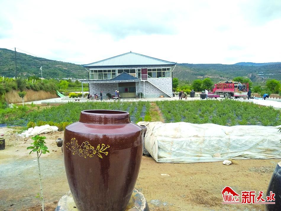 延伸产业链拓宽致富路,麦积区新阳镇未来新阳规划图