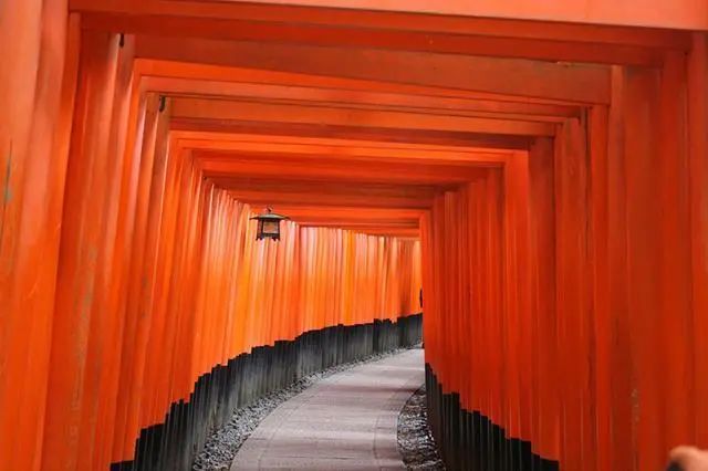 2014国家地理摄影大赛获奖,国家地理杂志摄影大赛获奖作品