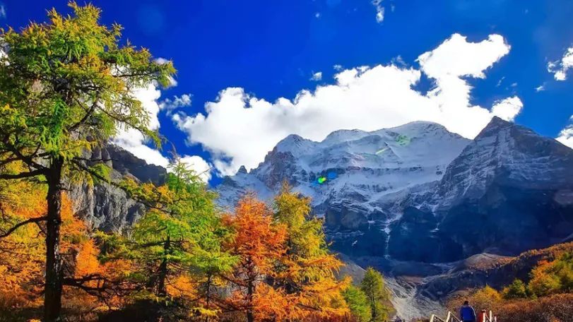 传说中的枫叶,传说中的光雾山红叶