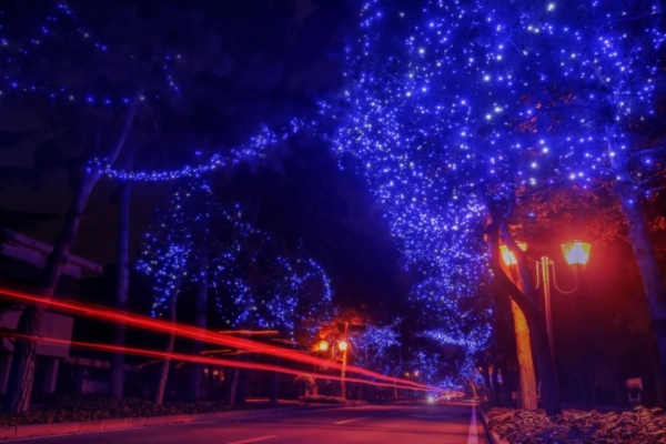 秋天的秦皇岛有多美？摄影家用镜头告诉你