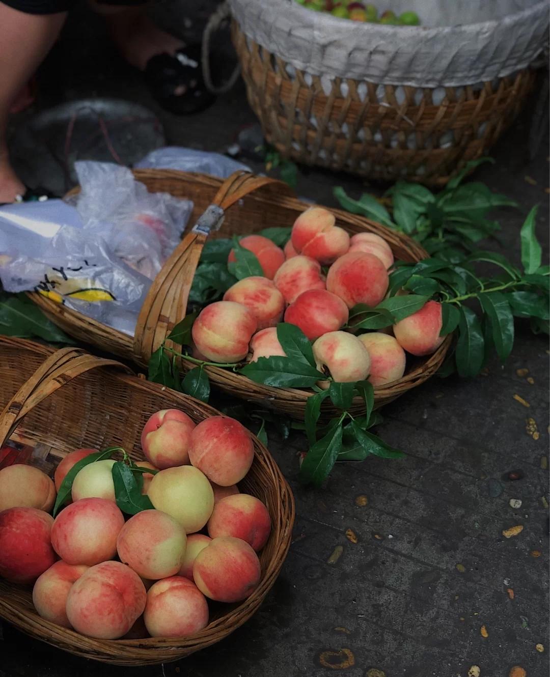 我的家乡武都怎么介绍,介绍我的家乡陇南武都