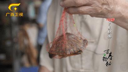 梧州百岁爷爷长寿新招：喝早茶，吃纸包鸡，享受专业的养老护理服务