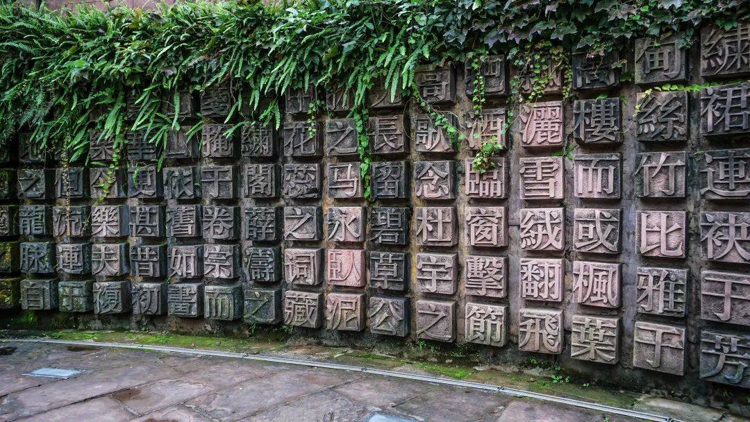 成都双流晚上适合拍照打卡的地方,成都周末打卡推荐双流