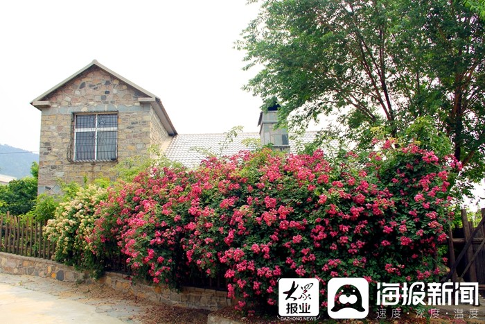 马套村乡村振兴考察,乡村文旅产业带动村民就业