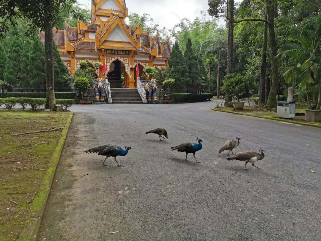 时间定好了,时间定了