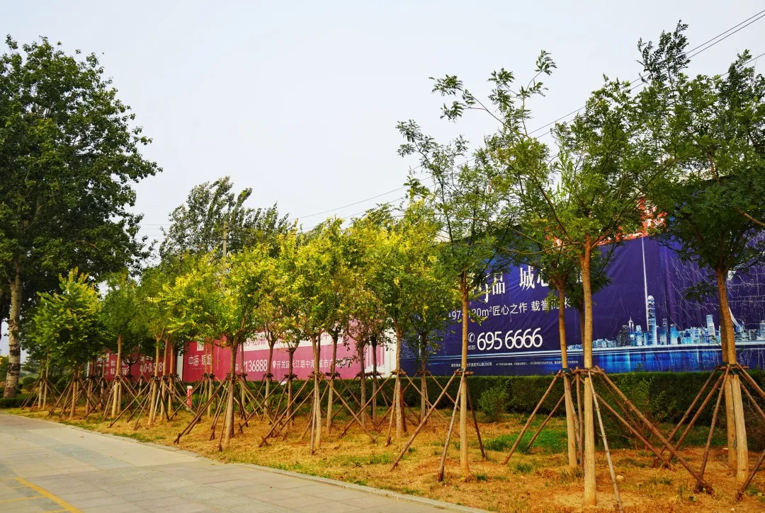 描绘乡村美丽新画卷,描绘中国美丽新画卷