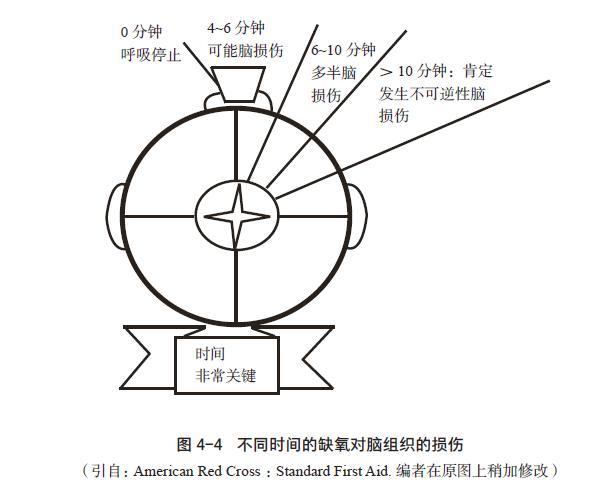 缺血缺氧会导致哪些疾病及危害,心脑血管缺氧