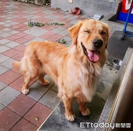 挖耳朵太舒服! 阿金爽到「嘴边肉失守」...努力忍住不笑出来