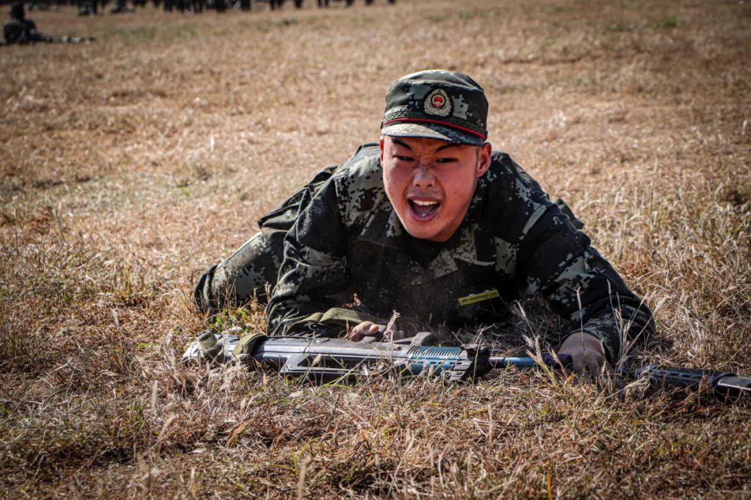 新训进入尾声的视频,新训动作示范