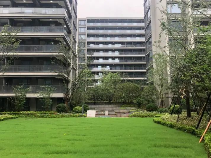 萧山区2021年年底交付新房,萧山2022年下半年交付新楼盘