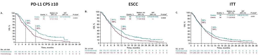 周爱萍医生,周爱萍肿瘤内科