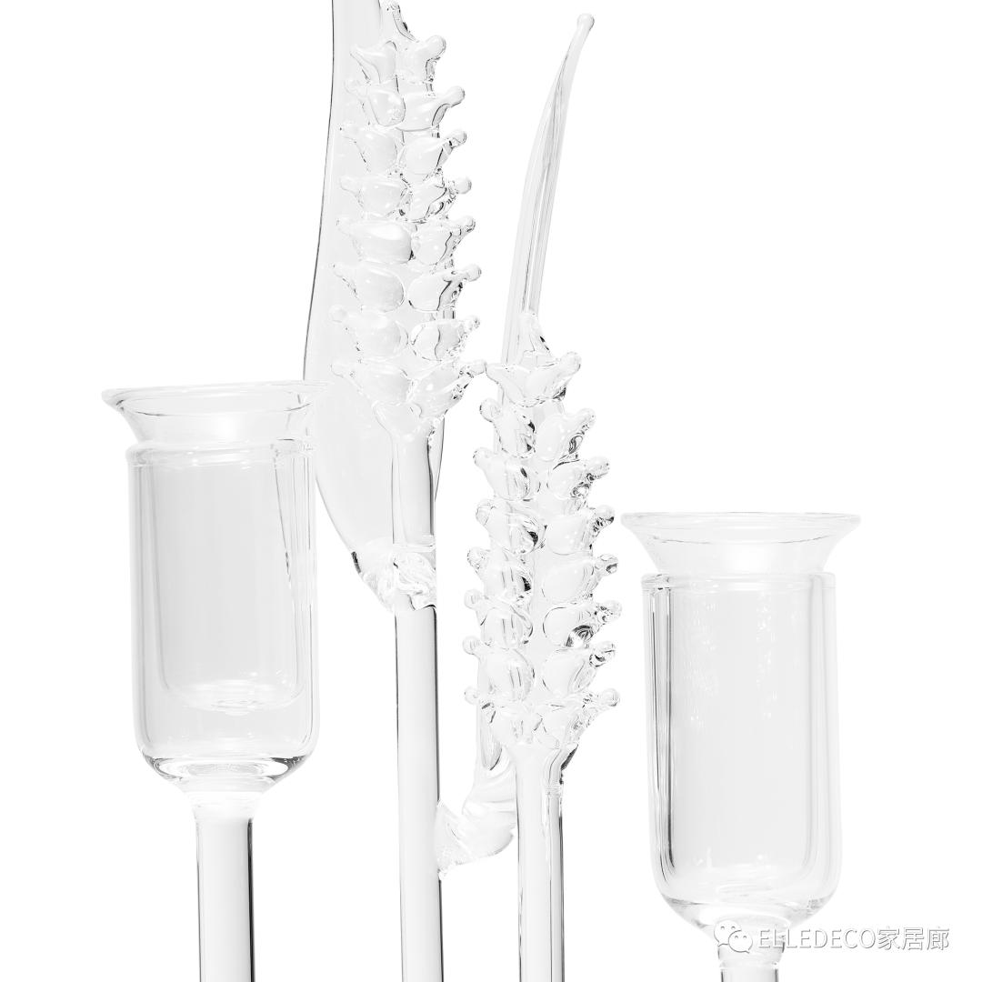 神秘塔罗、乡野繁花，想把DIORMAISON新品带回家