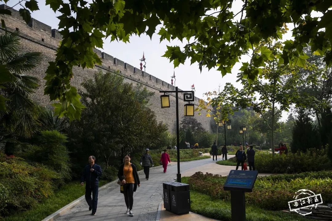 曲江秋天风景,曲江的秋色