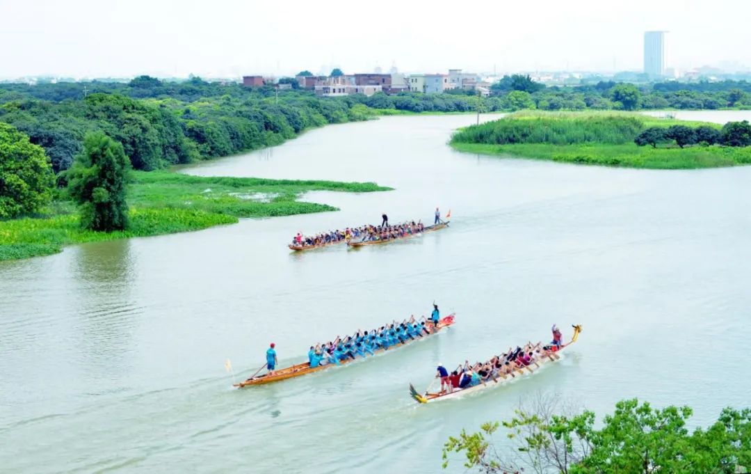 花莞高速最新路线规划,花莞沿高速旅游攻略