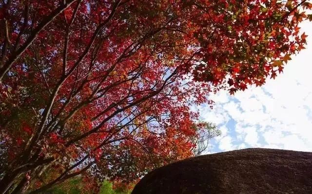 爬厦门仙灵棋山看日出,厦门周边登高望远的地方