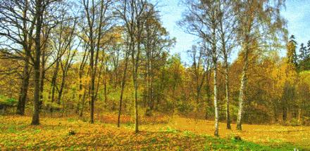 不用海淘的好物,澳洲保护孩子眼睛的保健品