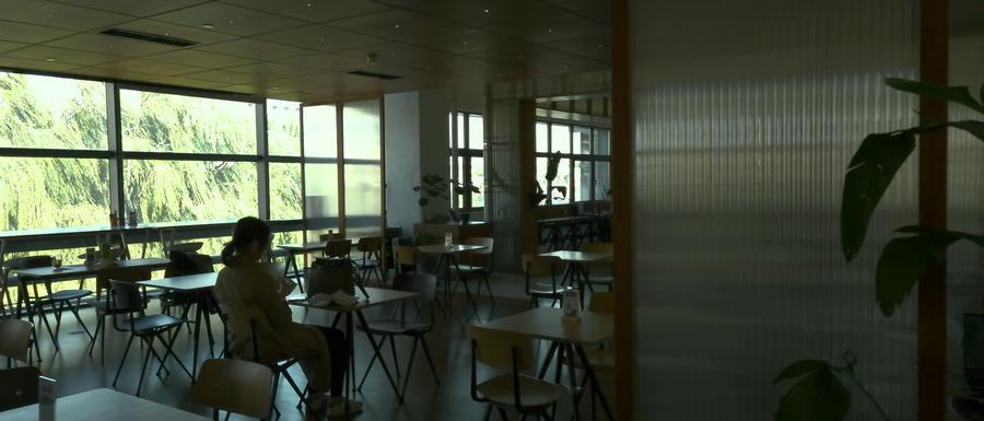 索尼xperia1iii对比苹果13promax,外观与索尼xperia1iv相似的手机