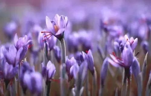 秋冬泡脚有多重要,秋冬季节最适合什么泡脚