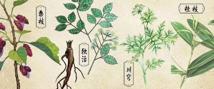 秋冬泡脚有多重要,秋冬季节最适合什么泡脚