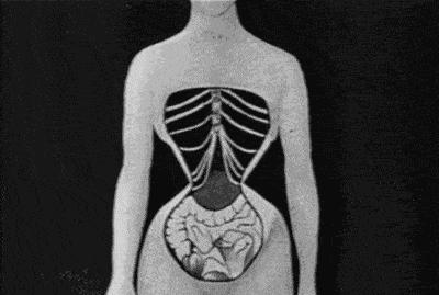 运动时穿上束腰带能帮助瘦腰吗,用束腰带能减肚子吗