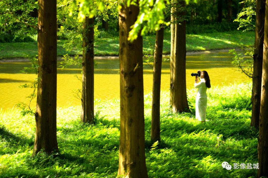 盐城发色,盐城代表颜色