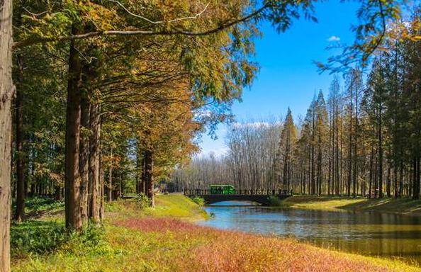 盐城发色,盐城代表颜色