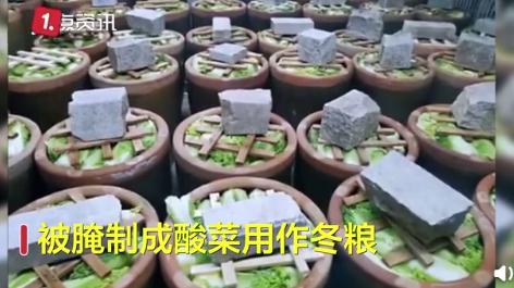 宇宙的尽头美食,宇宙的尽头是美食