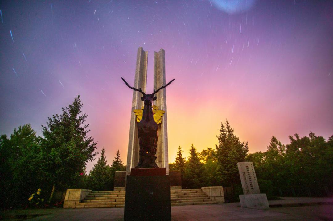 加格达奇映山红滑雪场今年开的吗,黑龙江加格达奇市映山红滑雪场