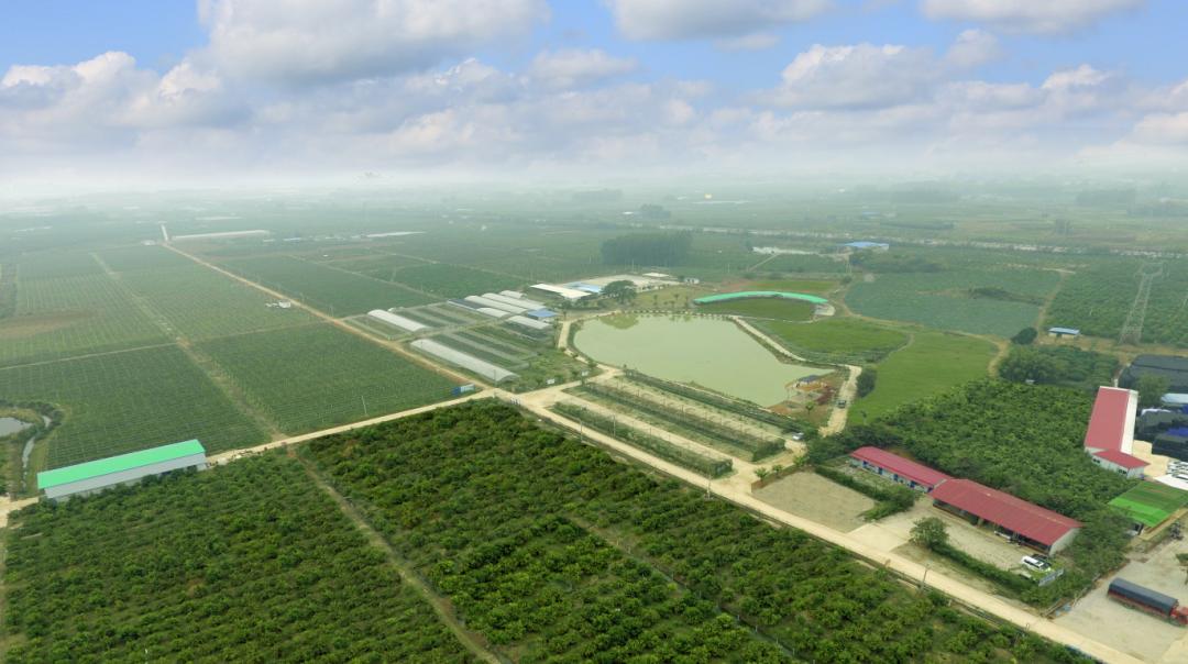 旅游推介路线|旅游+休闲农业体验一日游