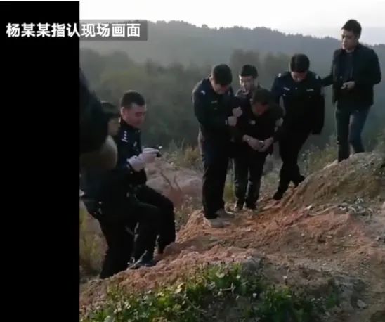 11月11日|新早读！刑拘！女子这事儿两年结婚离婚28次