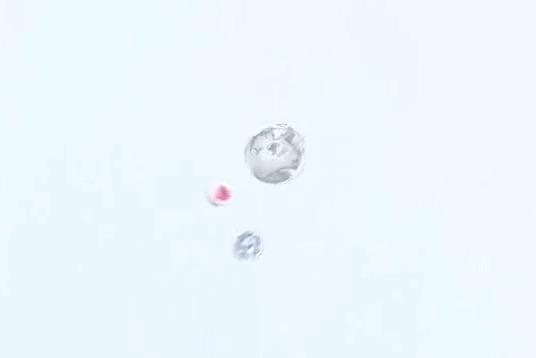 最受日本女生欢迎的素颜霜,美白素颜霜遮瑕懒人伪素颜