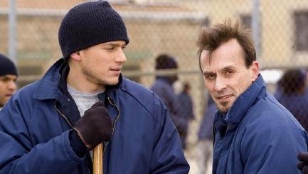 米帅和越狱计划,米帅越狱成功