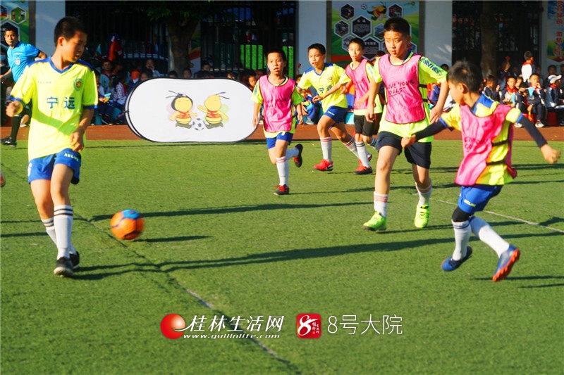 大梦想小学足球比赛,小足球大梦想学校足球比赛